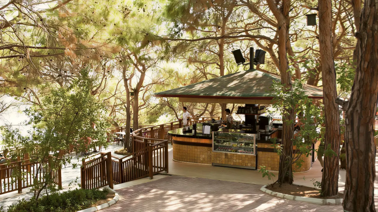Bar w otoczeniu drzew w A Good Life Utopia Family Resort