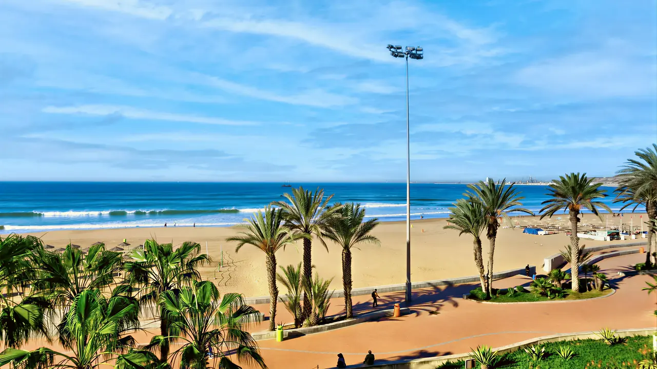 Plaża i palmy przy hotelu Agadir Beach Club