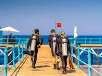 Nurkowie z wyposażeniem na pomost w Akassia Swiss Resort