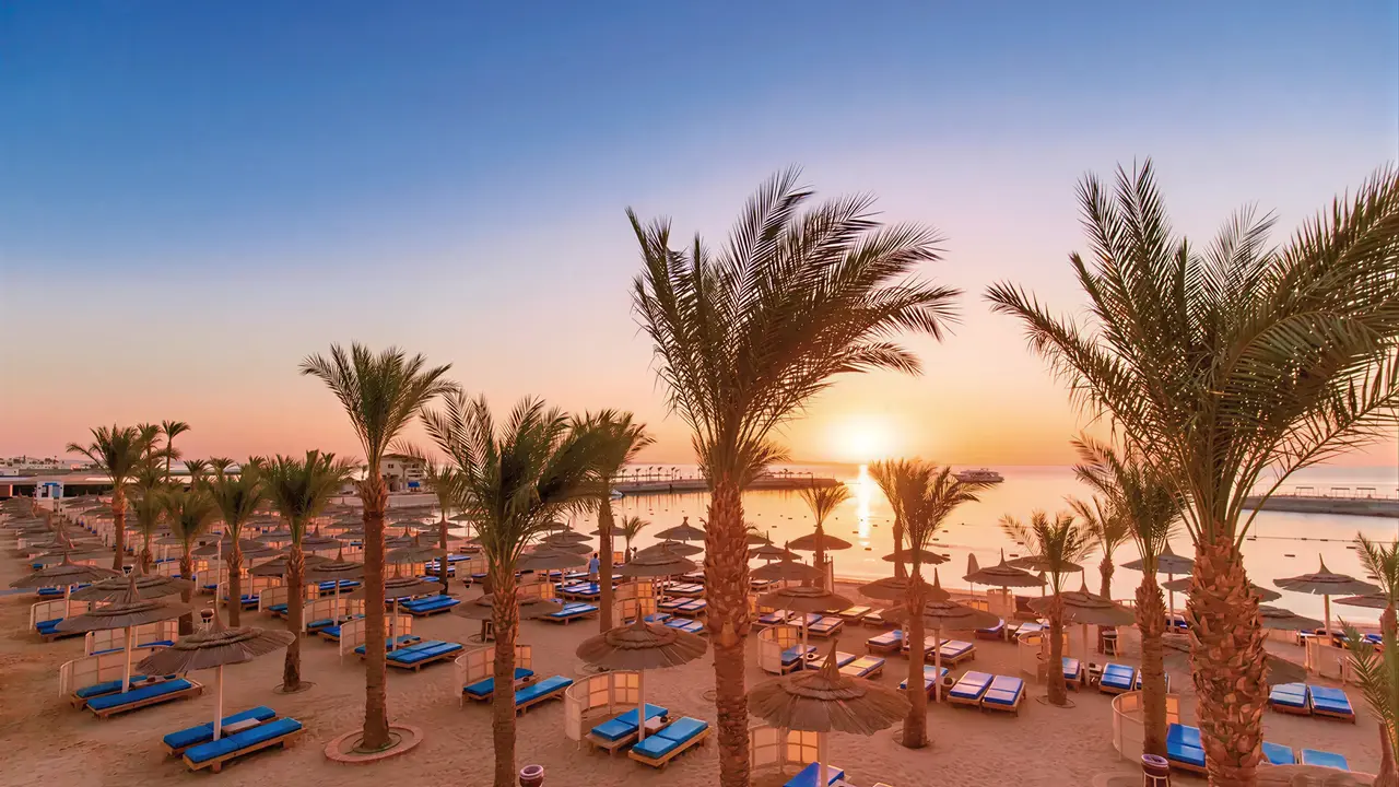 Leżaki i palmy na plaży w Albatros Beach Resort