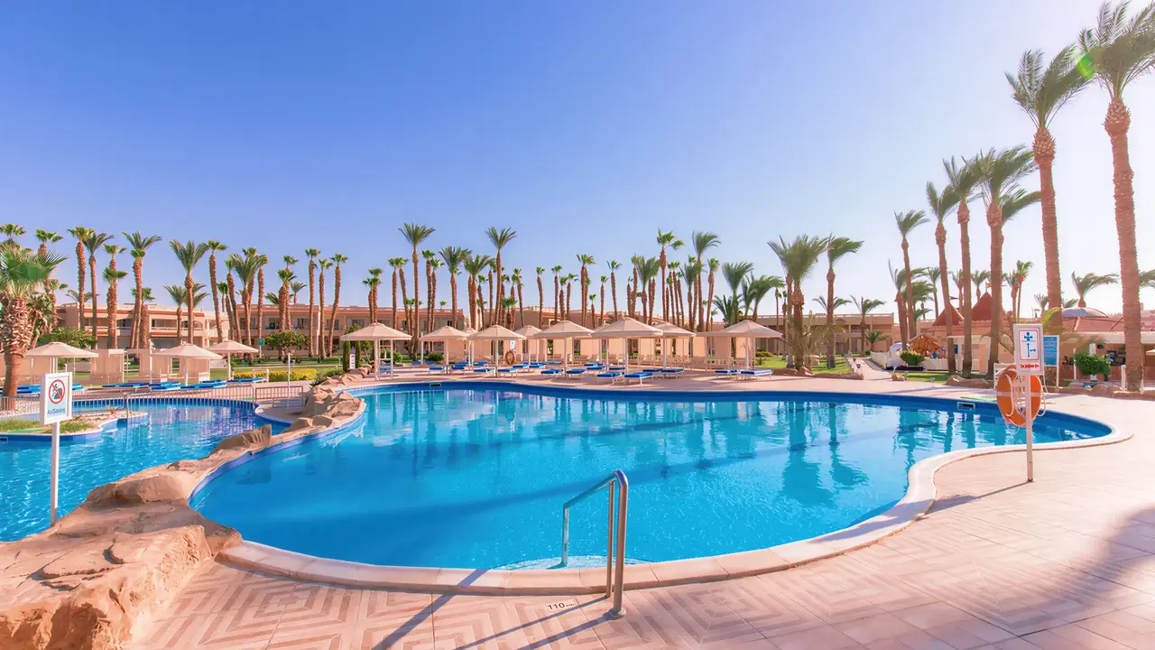 Basen z leżakami w Albatros Beach Resort