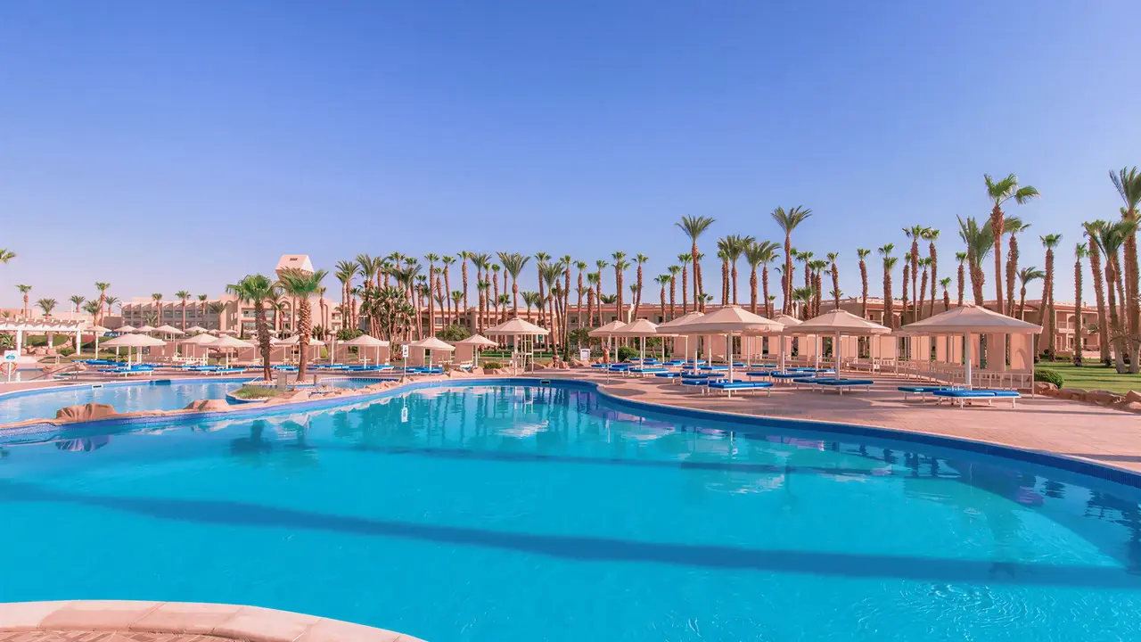 Basen z leżakami w Albatros Beach Resort