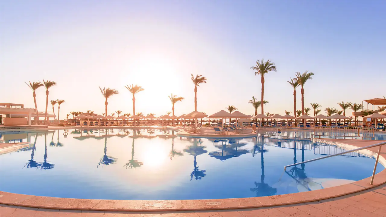 Basen z leżakami w Albatros Beach Resort