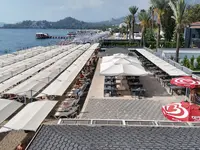 Leżaki i parasole na plaży w Alder Resort