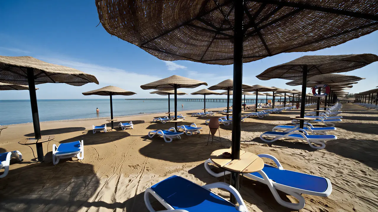 Plaża z leżakami i parasolami w AMC Royal Hotel & Spa