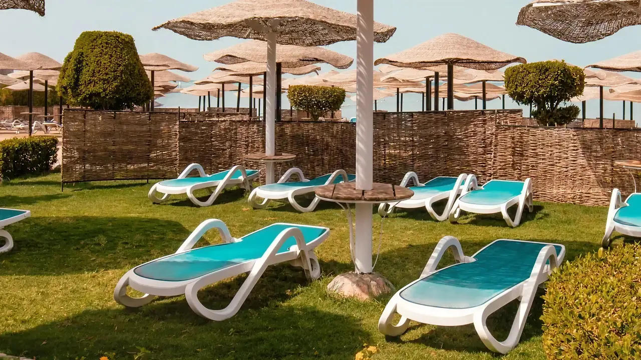 Leżaki i parasole w ogrodzie AMC Royal Hotel & Spa