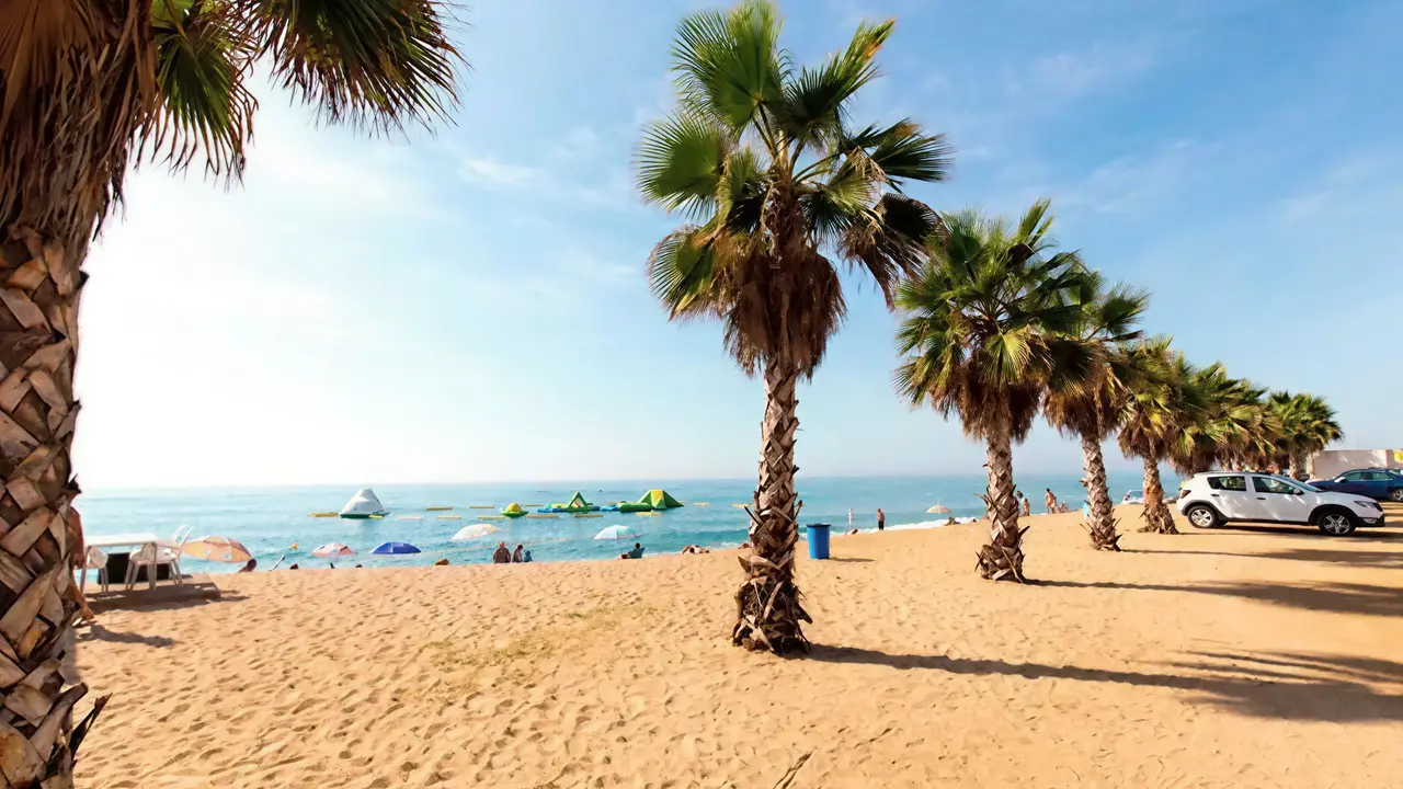 Piaszczysta plaża z palmami w Aqua Promenade