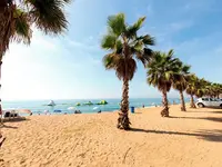 Piaszczysta plaża z palmami w Aqua Promenade