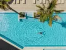 Basen w Aqua The Breeze z palmami