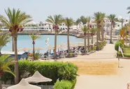 Widok na kompleks Arabia Azur z palmami