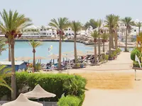 Widok na kompleks Arabia Azur z palmami