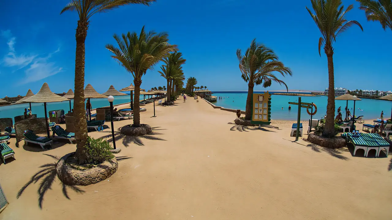 Plaża z palmami i parasolami w Arabia Azur