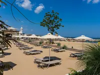 Plaża z leżakami i parasolami w Astor Garden (St. Konstantin i Elena)