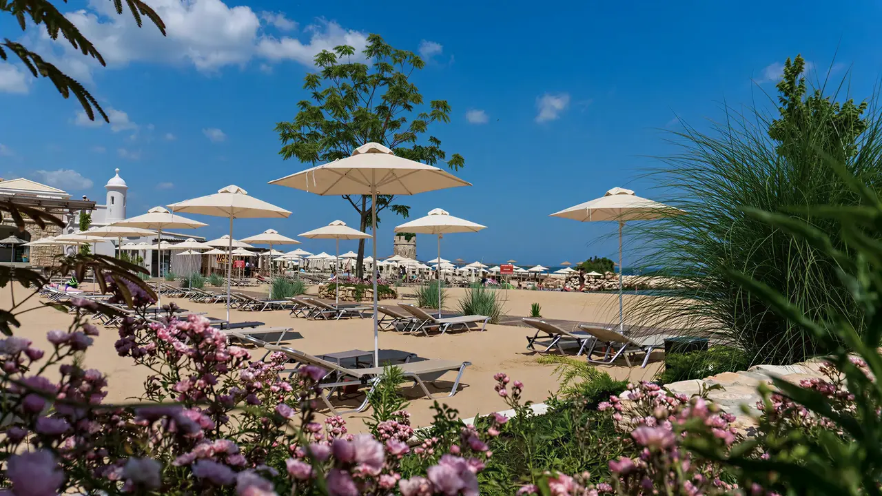 Plaża z leżakami i parasolami w Astor Garden (St. Konstantin i Elena)