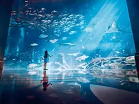 Sala z projekcjami w Atlantis The Palm