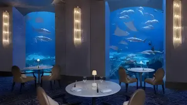 Restauracja z widokiem na akwarium w Atlantis The Palm