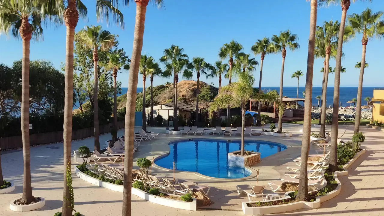 Basen z leżakami w Auramar Beach Resort