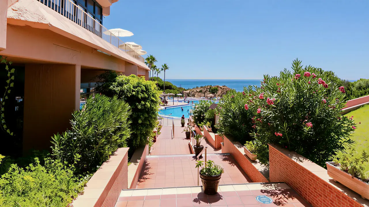 Basen i teren rekreacyjny w Auramar Beach Resort