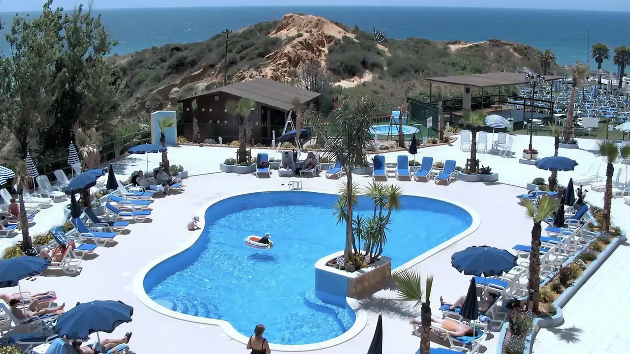 Basen z leżakami w Auramar Beach Resort