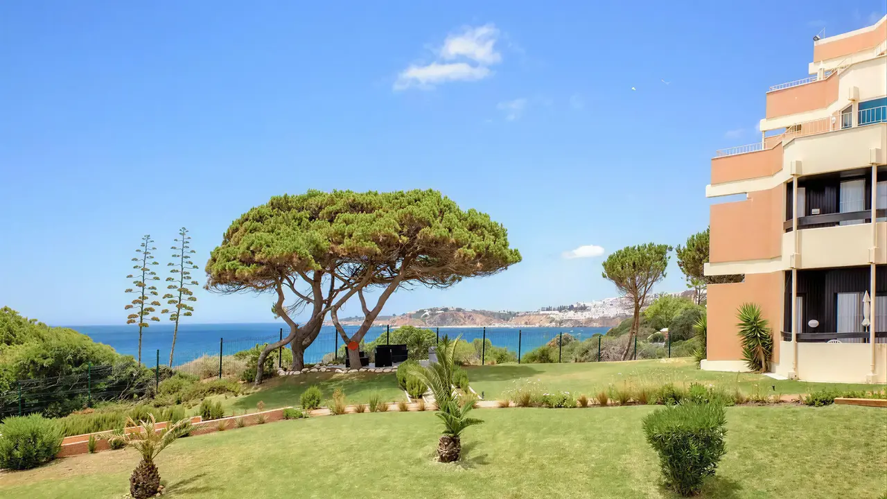 Zielony ogród z drzewami w Auramar Beach Resort