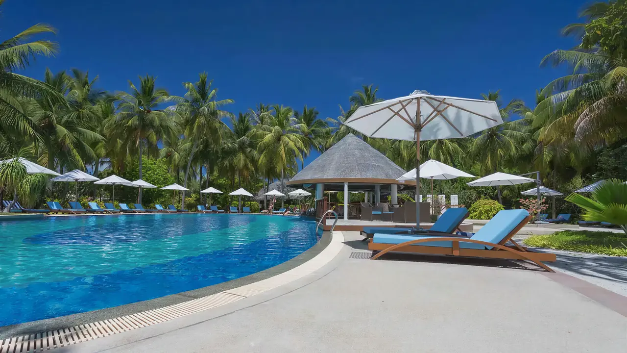 Basen z leżakami i parasolami w Bandos Maldives