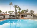Basen z leżakami i palmami w Barcelo Fuerteventura Castillo