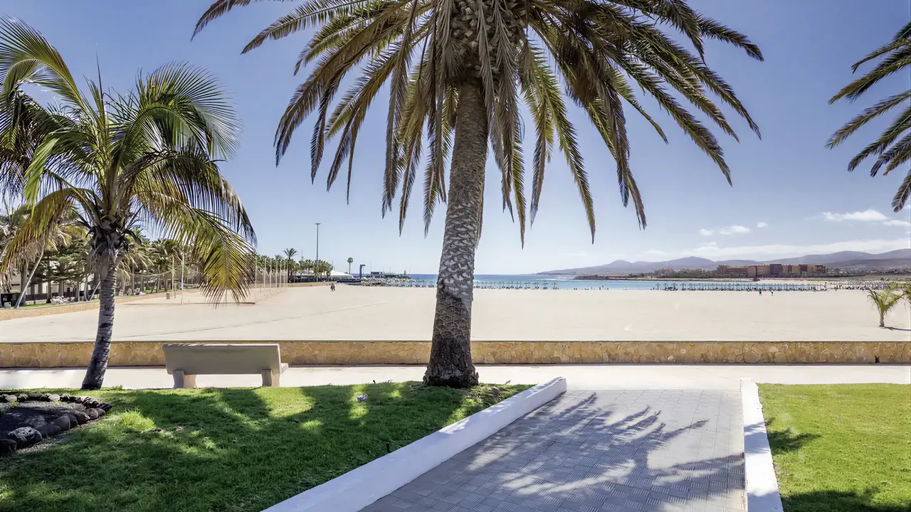 Plaża i palmy w Barcelo Fuerteventura Castillo