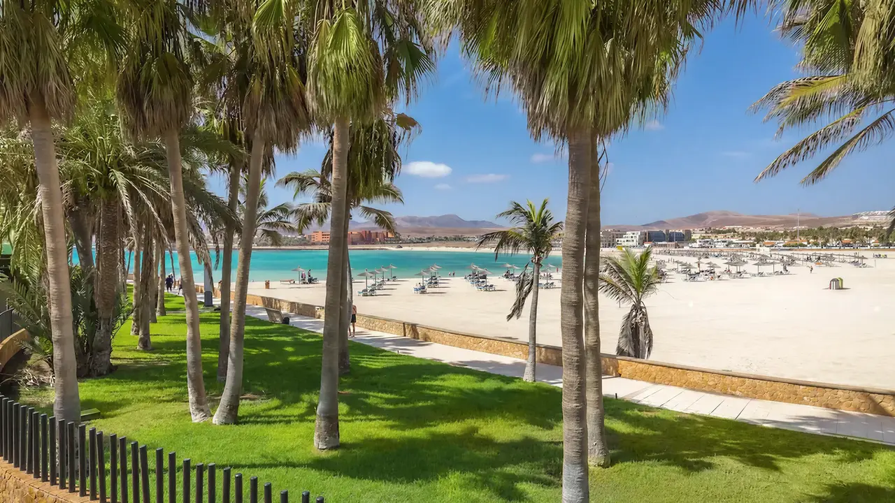 Plaża z białym piaskiem w Barcelo Fuerteventura Castillo