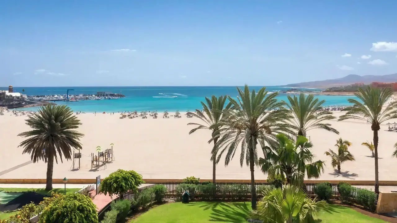 Piaszczysta plaża z palmami w Barcelo Fuerteventura Mar