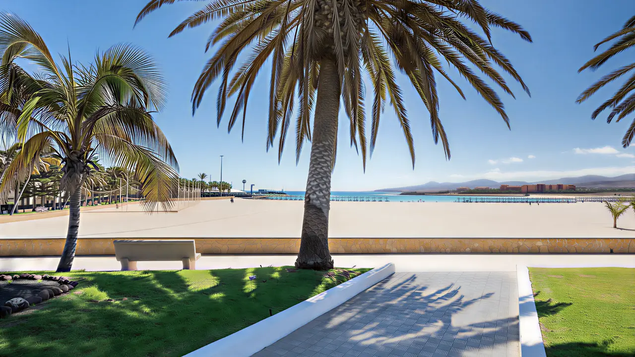 Piaszczysta plaża przy Barcelo Fuerteventura Mar z palmami