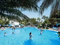 Basen z gośćmi w Best Tenerife