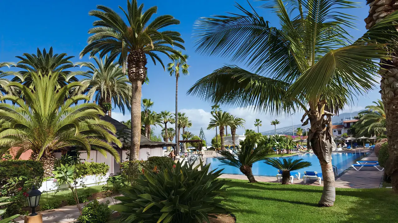 Basen i palmy w hotelu Blue Sea Interpalace