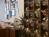 Bufet z pieczywem w Brown Acropol