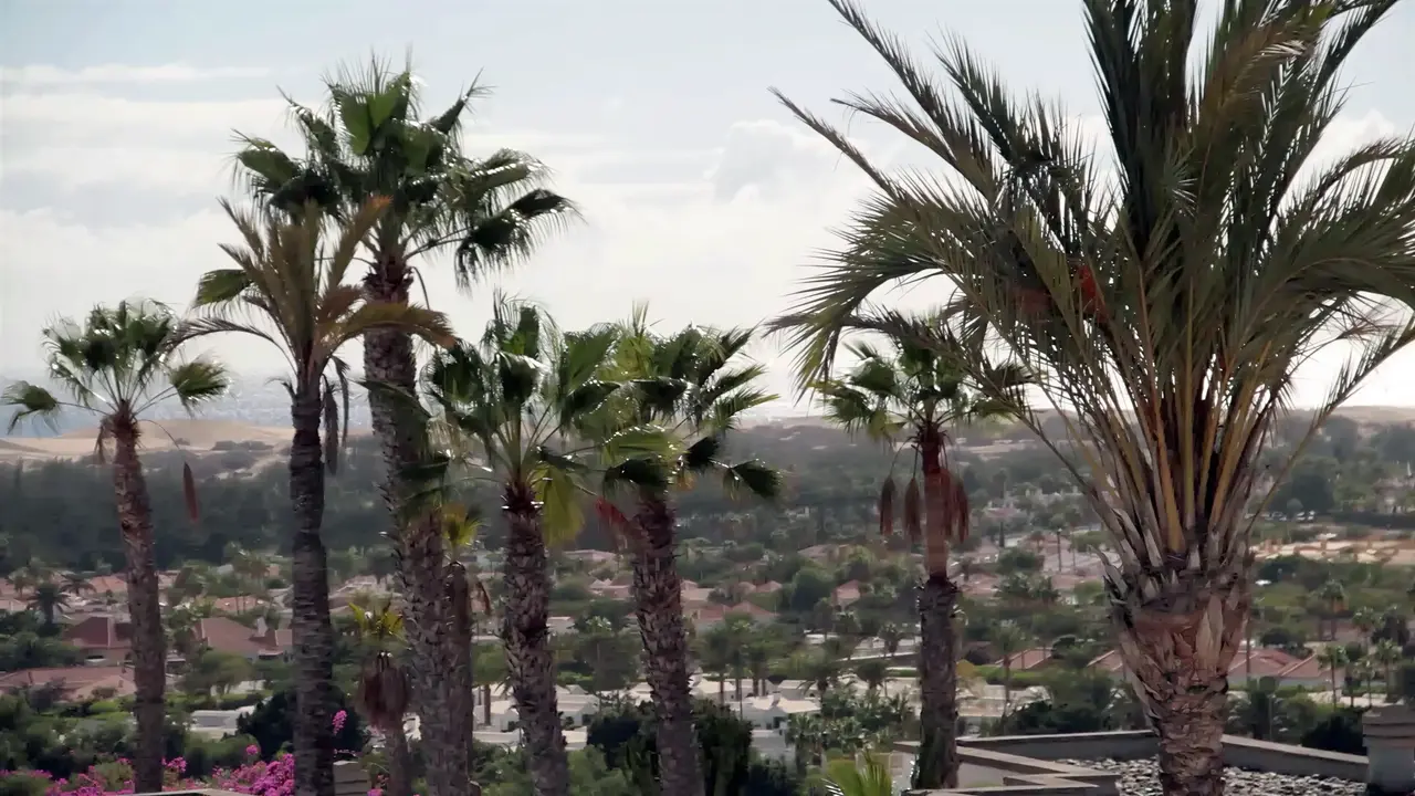 Palmy i zieleń w Bungalows Vista Oasis