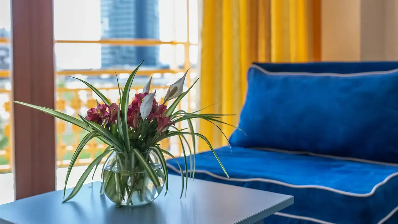 Niebieska sofa i kwiaty w Burgas Beach