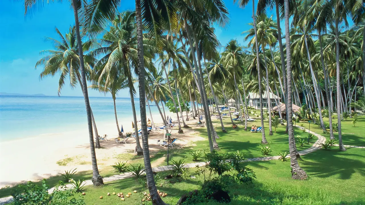 Piaszczysta plaża z palmami w Cape Panwa