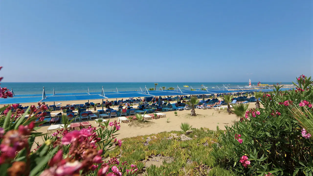 Plaża z leżakami w Club Grand Aqua