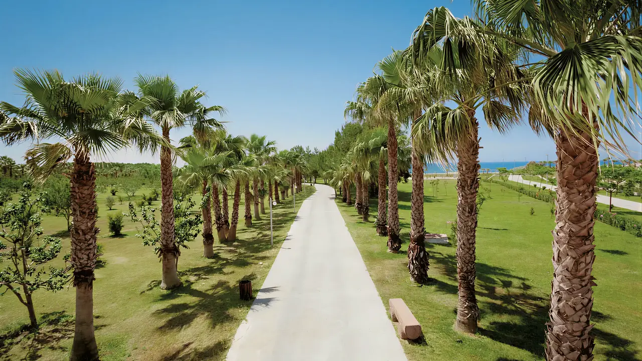 Ścieżka wśród palm w Club Grand Aqua