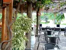 Bufet i stoliki w restauracji Club Turan Prince World