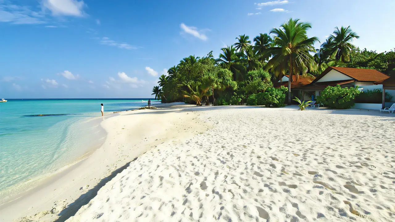 Biała piaszczysta plaża w Diamonds Athuruga Beach & Water Villas