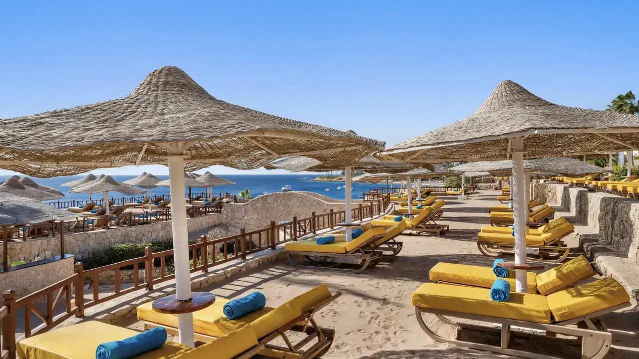 Leżaki i parasole przy plaży w Doubletree by Hilton Sharks Bay