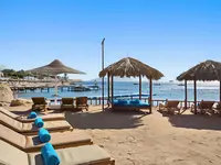 Leżaki i parasole na plaży w Doubletree by Hilton Sharks Bay