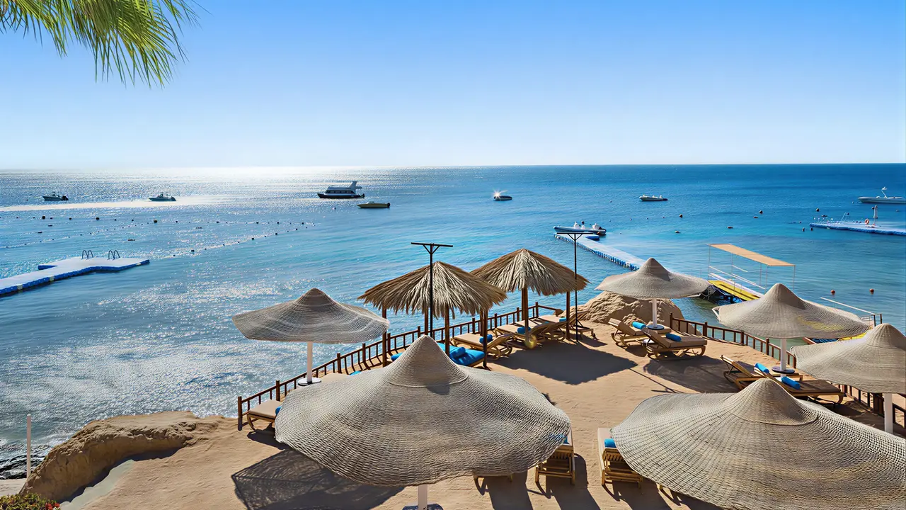 Plaża z parasolami i leżakami w Doubletree by Hilton Sharks Bay