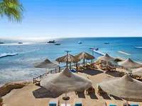 Plaża z parasolami i leżakami w Doubletree by Hilton Sharks Bay