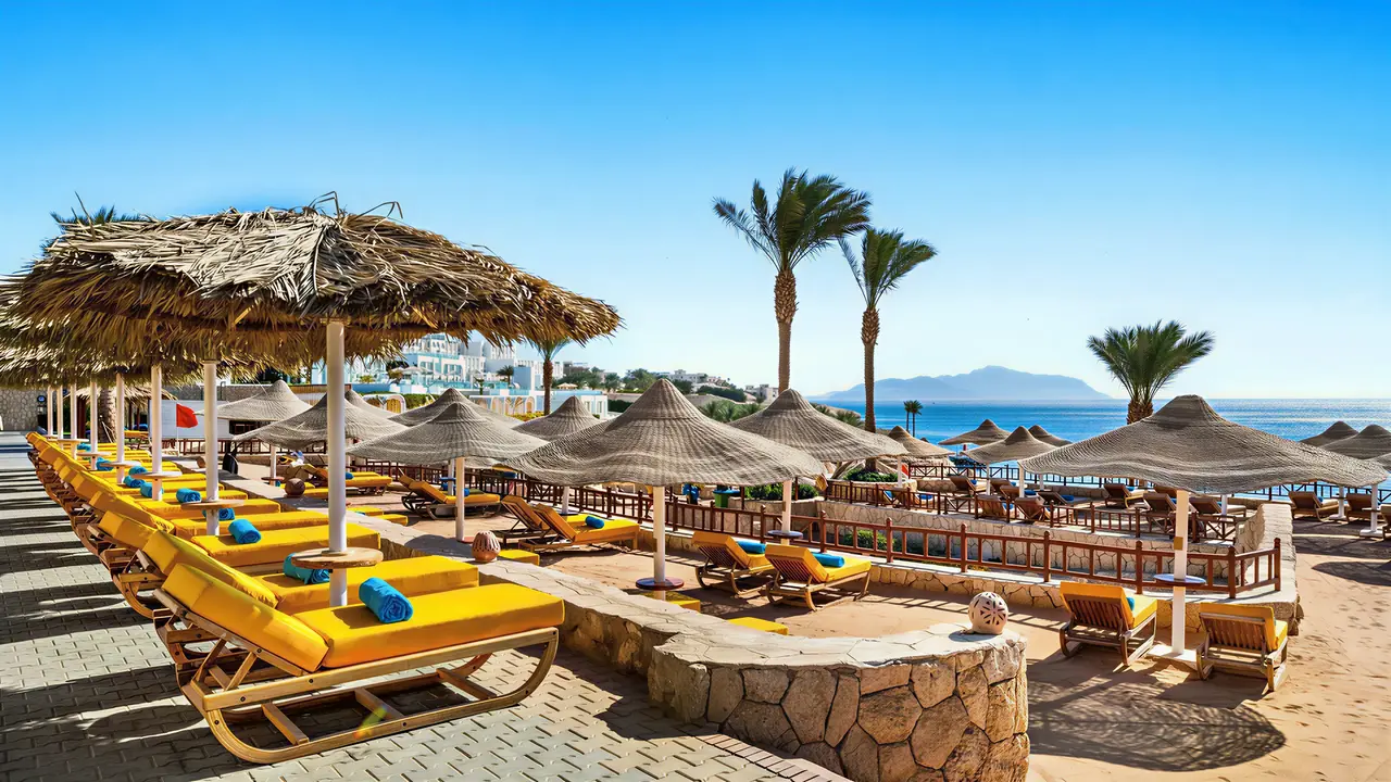 Leżaki pod słomianymi parasolami w Doubletree by Hilton Sharks Bay przy plaży