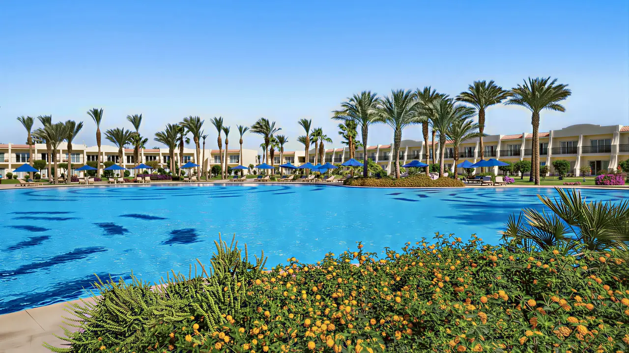 Duży basen z leżakami w Doubletree by Hilton Sharks Bay