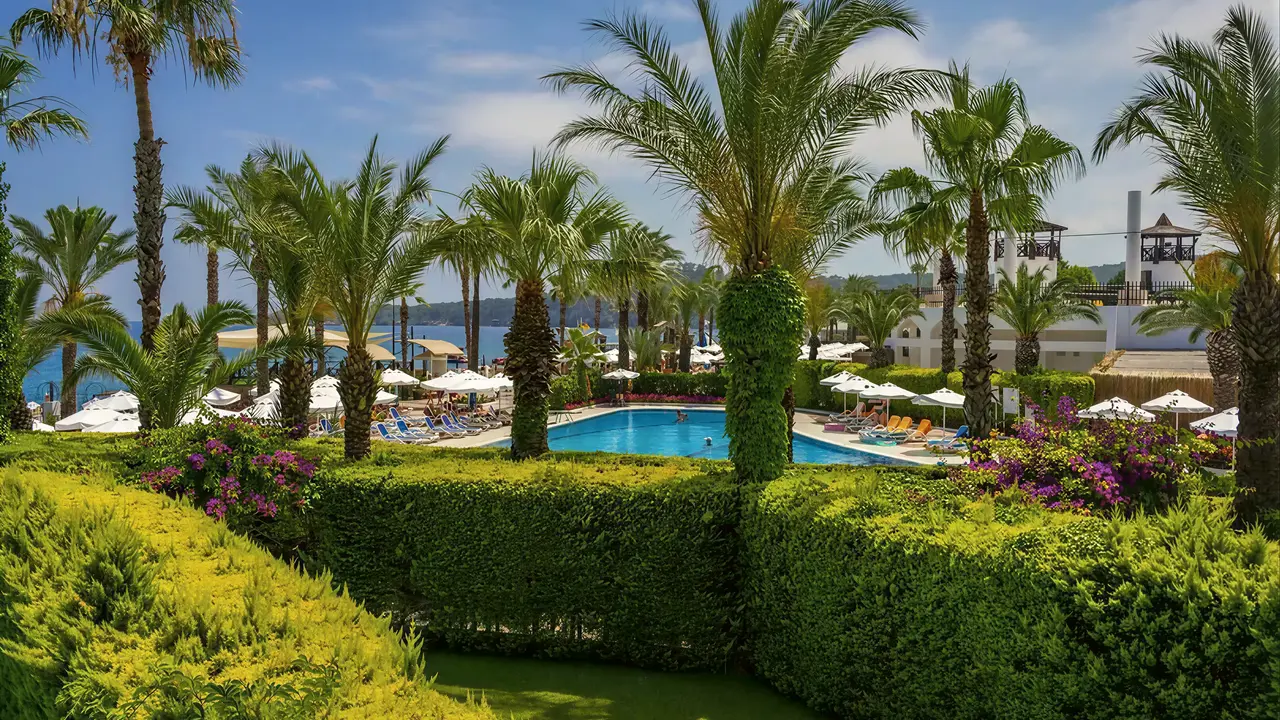 Basen i palmy w Emelda Sun Club