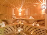 Sauna w hotelu Falcon
