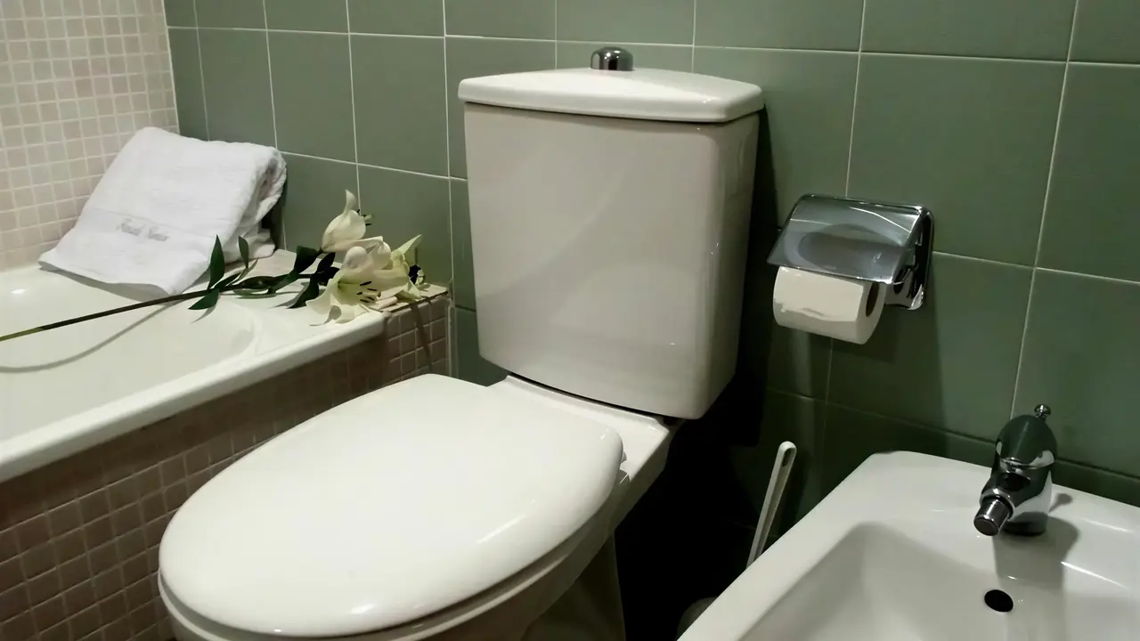 Łazienka w Fenals Garden z toaletą i umywalką