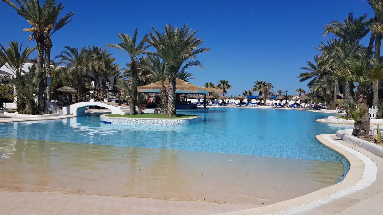 Basen z palmami w hotelu Fiesta Beach